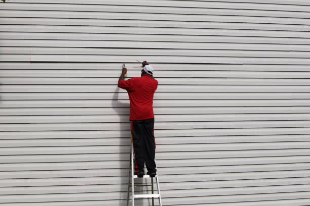 Affordable Siding Repair and Maintenance Services in Roanoke, AL